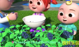 儿童小视频,小视频里的童年时光剪影